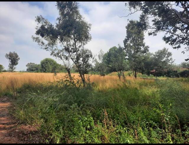 LAND FOR SALE IN HENLEY-ON-KLIP